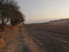  Grundstück zu verkaufen in Tequisquiapan, Queretaro, Tequisquiapan