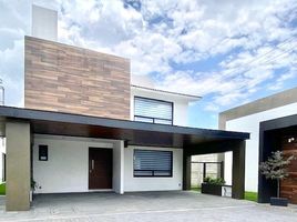Maison 3 chambre à vendre à Toluca, Mexico, Toluca