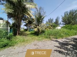  Grundstück zu verkaufen in Alvarado, Veracruz, Alvarado