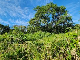  Grundstück zu verkaufen in Othon P Blanco, Quintana Roo, Othon P Blanco