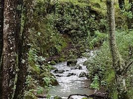  토지을(를) Amealco De Bonfin, Queretaro에서 판매합니다., Amealco De Bonfin