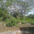  Terreno (Parcela) en venta en Kaua, Yucatán, Kaua