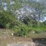  Terreno (Parcela) en venta en Kaua, Yucatán, Kaua