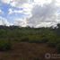  Terreno (Parcela) en venta en Kaua, Yucatán, Kaua