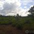  Terreno (Parcela) en venta en Kaua, Yucatán, Kaua