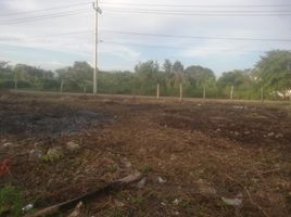  Grundstück zu verkaufen in Othon P Blanco, Quintana Roo, Othon P Blanco