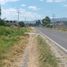  Grundstück zu verkaufen in Otzolotepec, Mexico, Otzolotepec