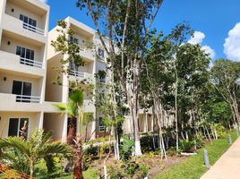 Appartement 3 chambre à vendre à Cozumel, Quintana Roo, Cozumel