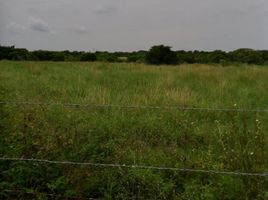  Grundstück zu verkaufen in Veracruz, Veracruz, Veracruz, Veracruz