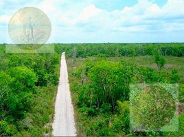  Land for sale in Valladolid, Yucatan, Valladolid