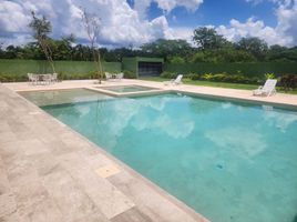  Land for sale in Valladolid, Yucatan, Valladolid