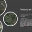  Land for sale in Juarez, Nuevo Leon, Juarez