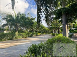  Terreno (Parcela) en venta en Merida, Yucatán, Merida