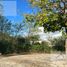  Terreno (Parcela) en venta en Merida, Yucatán, Merida