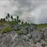  Land for sale in Cozumel, Quintana Roo, Cozumel