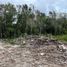  Terreno (Parcela) en venta en Isla Mujeres, Quintana Roo, Isla Mujeres
