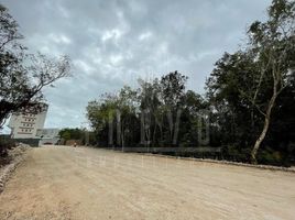  Terreno (Parcela) en venta en Isla Mujeres, Quintana Roo, Isla Mujeres