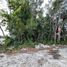  Terreno (Parcela) en venta en Isla Mujeres, Quintana Roo, Isla Mujeres
