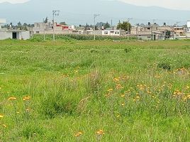  Grundstück zu verkaufen in Almoloya De Juarez, Mexico, Almoloya De Juarez