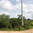  Grundstück zu verkaufen in Conkal, Yucatan, Conkal