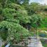 在Coatepec, Veracruz出售的 土地, Coatepec
