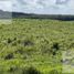  Land for sale in Maxcanu, Yucatan, Maxcanu