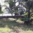  Land for sale in Coatzacoalcos, Veracruz, Coatzacoalcos
