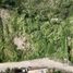  Land for sale in Emiliano Zapata, Veracruz, Emiliano Zapata