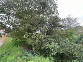  Grundstück zu verkaufen in Tlalnelhuayocan, Veracruz, Tlalnelhuayocan