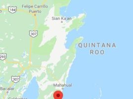  Grundstück zu verkaufen in Othon P Blanco, Quintana Roo, Othon P Blanco
