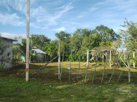  Grundstück zu verkaufen in Othon P Blanco, Quintana Roo, Othon P Blanco