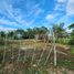  Grundstück zu verkaufen in Othon P Blanco, Quintana Roo, Othon P Blanco