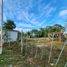  Grundstück zu verkaufen in Othon P Blanco, Quintana Roo, Othon P Blanco