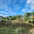  Grundstück zu verkaufen in Othon P Blanco, Quintana Roo, Othon P Blanco