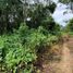 Terrain à vendre à Othon P Blanco, Quintana Roo, Othon P Blanco