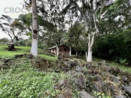 在Coatepec, Veracruz出售的 土地, Coatepec