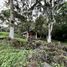  Land for sale in Coatepec, Veracruz, Coatepec