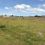  Land for sale in Huamantla, Tlaxcala, Huamantla