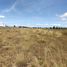  Land for sale in Huamantla, Tlaxcala, Huamantla