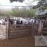  Land for sale in Sucila, Yucatan, Sucila