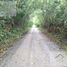  Land for sale in Sucila, Yucatan, Sucila