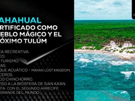  Land for sale in Felipe Carrillo Puerto, Quintana Roo, Felipe Carrillo Puerto