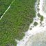  Land for sale in Felipe Carrillo Puerto, Quintana Roo, Felipe Carrillo Puerto
