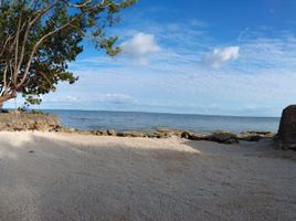  Grundstück zu verkaufen in Othon P Blanco, Quintana Roo, Othon P Blanco