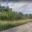 在Chinameca, Veracruz出售的 土地, Chinameca