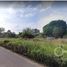 在Chinameca, Veracruz出售的 土地, Chinameca