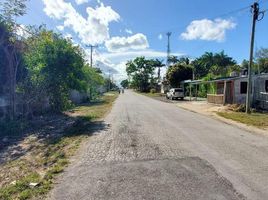  Grundstück zu verkaufen in Othon P Blanco, Quintana Roo, Othon P Blanco