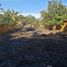  Land for sale in Pajapan, Veracruz, Pajapan