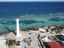  Grundstück zu verkaufen in Othon P Blanco, Quintana Roo, Othon P Blanco