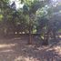  Land for sale in Centro, Tabasco, Centro, Tabasco